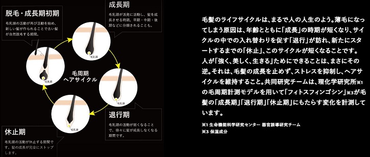 �k�I�X �X�J���v�u�[�X�g���[�V�����ɂ���